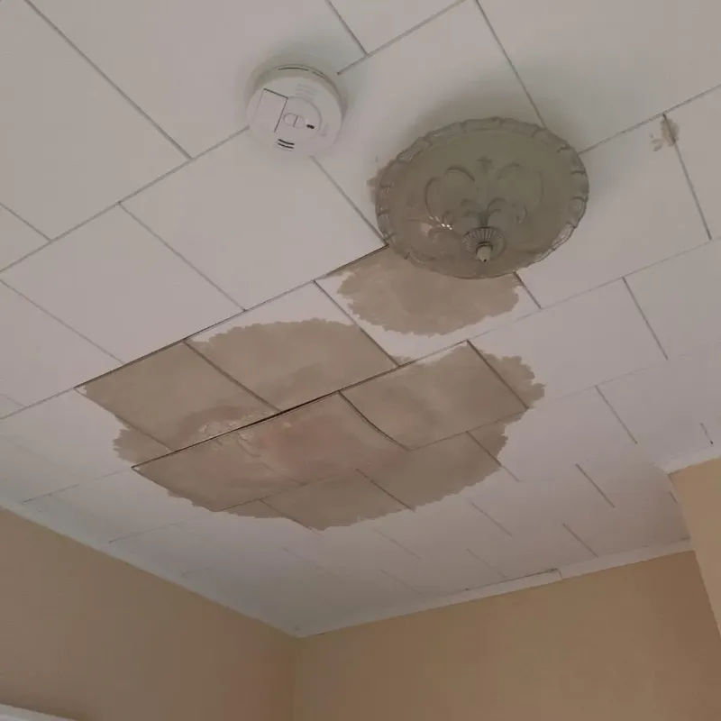 Ceiling Water Damage Repair in Elizabeth, PA