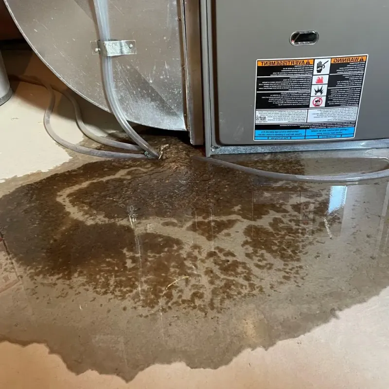 Pipe Burst and Leak Restoration in Elizabeth, PA