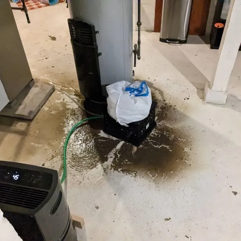 Sewage Backup Cleanup Service in Elizabeth, PA